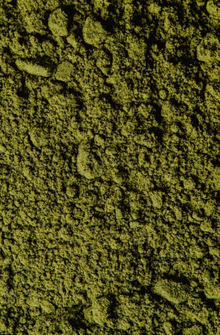 Where To Purchase Kratom Mitra9 Offers Trusted Quality & Reliability